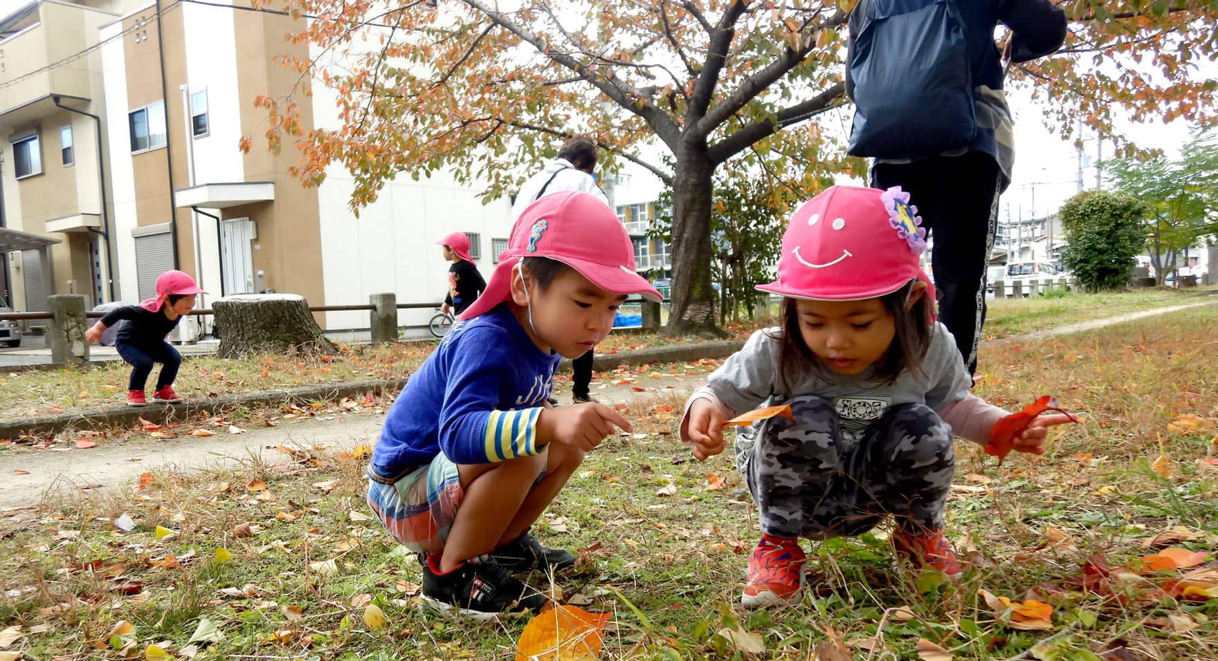 秋スライド写真