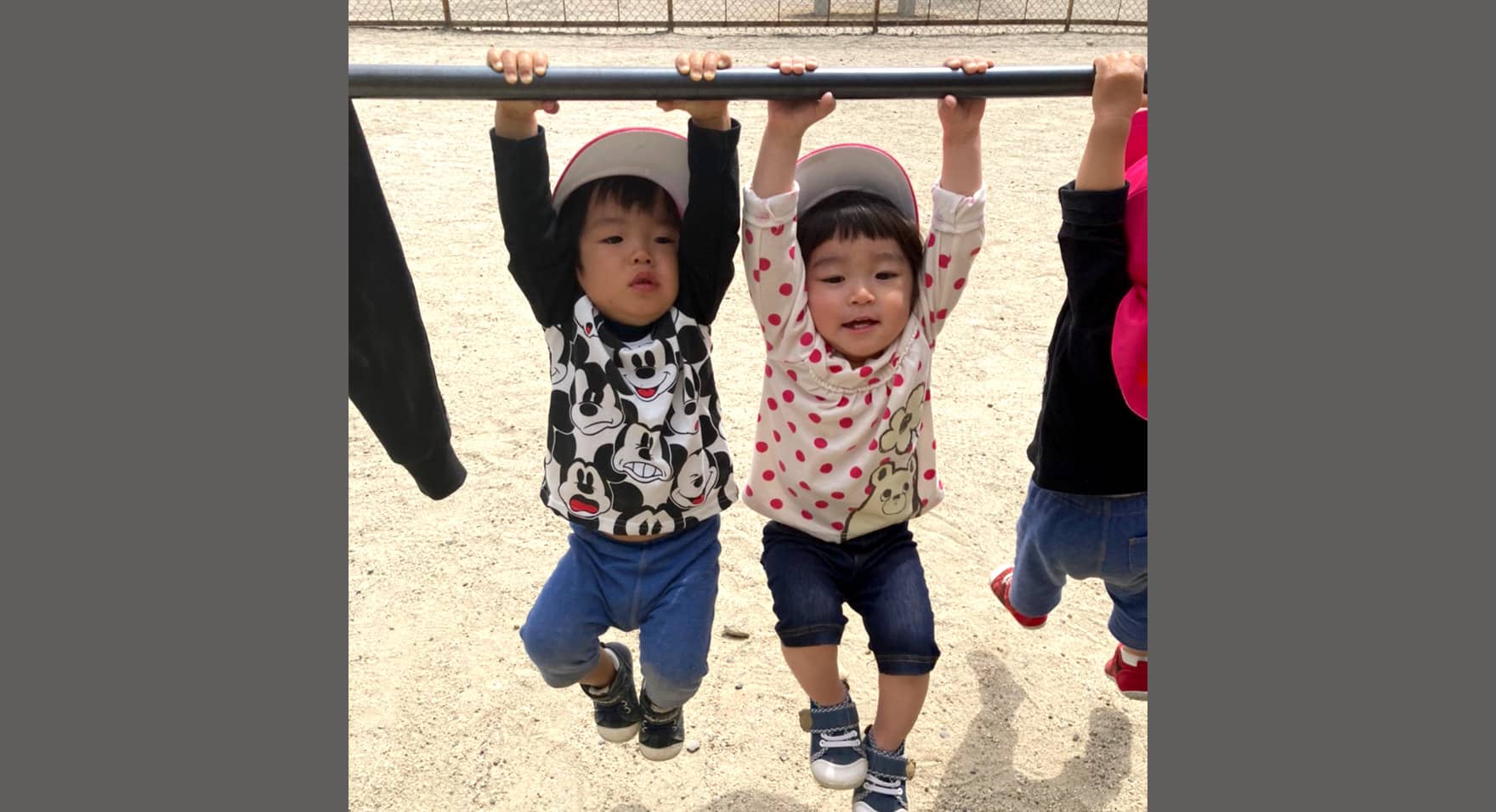 てんとうむしライフスライド写真