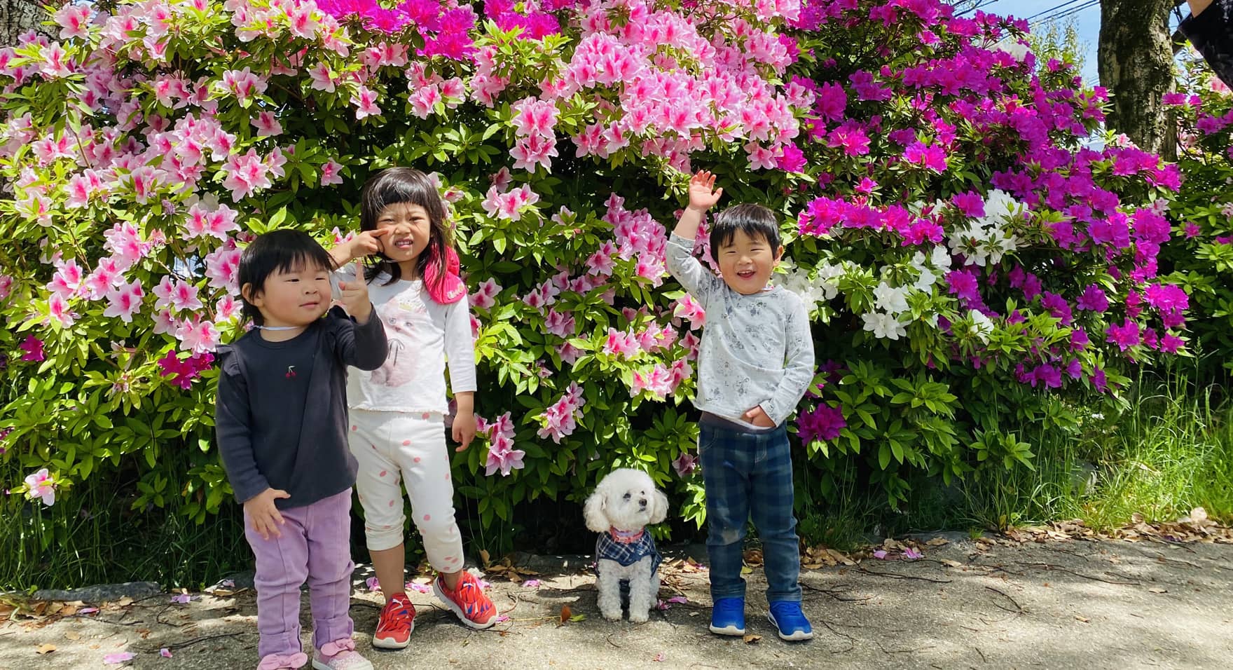 てんとうむしライフスライド写真