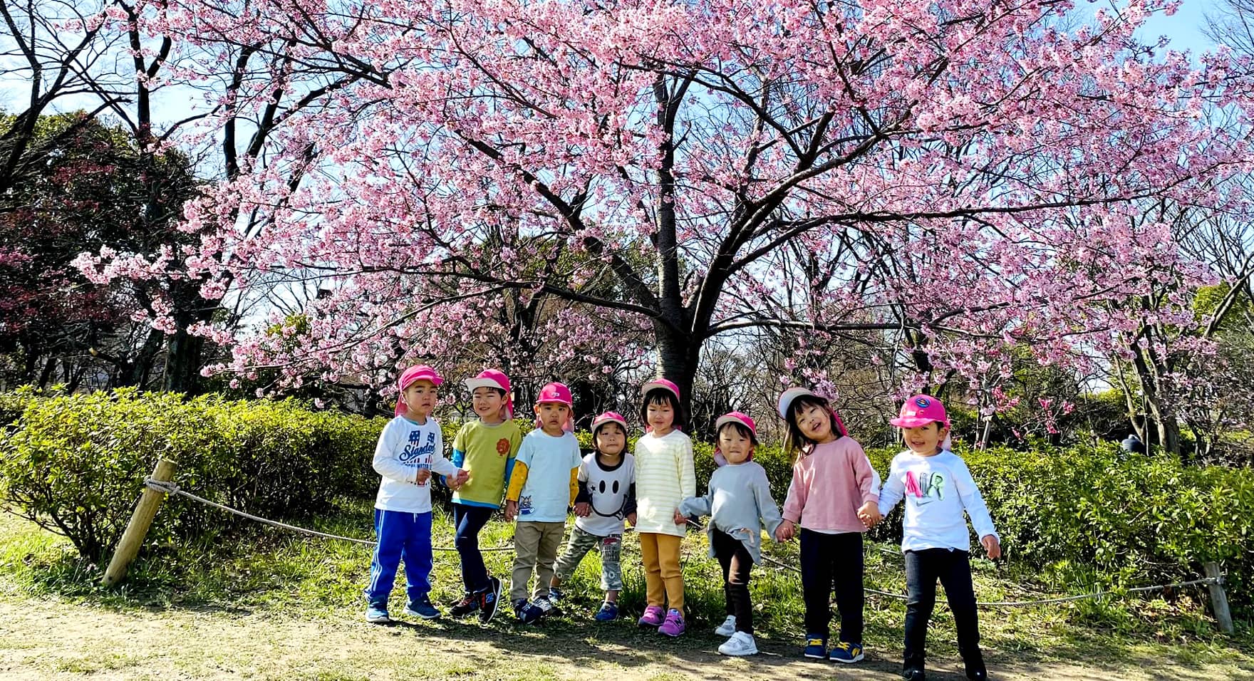 春スライド写真