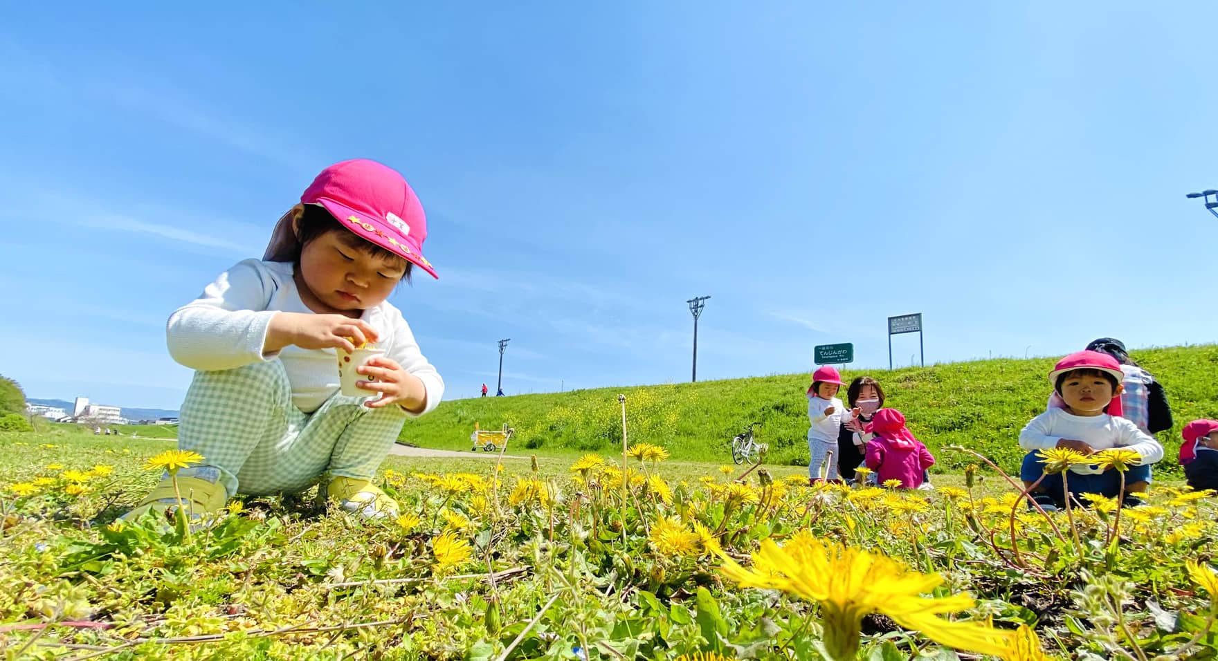 春スライド写真